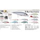 ARTIFICIALE RAPALA X-RAP SALTWATER 12CM 22GR COL. GGH - S - SBM - AYU - SB - REBA - FRSC - SBSC - GRM (COD. RAPSXR12)