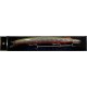 ESCA ARTIFICIALE SEASPIN MOMMOTTI 190 S 190MM 34GR GBA