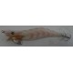 TOTANARA OLYMPUS SQUID JIG KAORI MIS. 3.0 COL. M03 G03 N02 G01 G02 G04 M01 N01 M02 