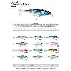 RAPALA X-RAP MAGNUM PREY 10CM 41G XRMAGPR10