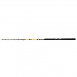 CANNA TRAINA BARCA SHIMANO BEASTMASTER CX STAND-UP SPIRAL