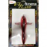 Teaser Aereoplanino Da Traina Olympus Fly Lures 20cm Col. 07