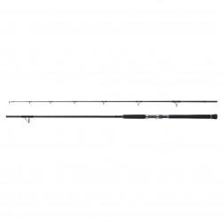 Canna Shore Jigging Shimano Currentsniper XR