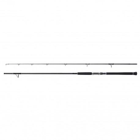 Canna Shore Jigging Shimano Currentsniper XR